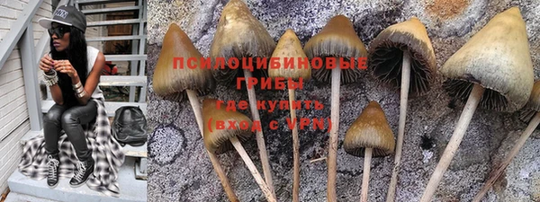 бошки Арсеньев