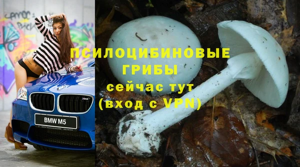 бошки Арсеньев