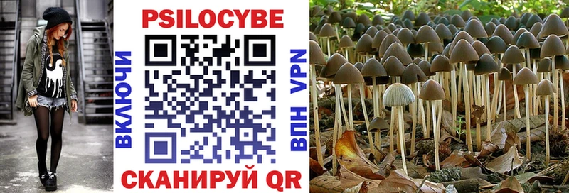 это состав  купить закладку  Воткинск  Псилоцибиновые грибы Psilocybe 